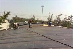 龍崗與坪山地區房屋補漏及管道疏通服務解析